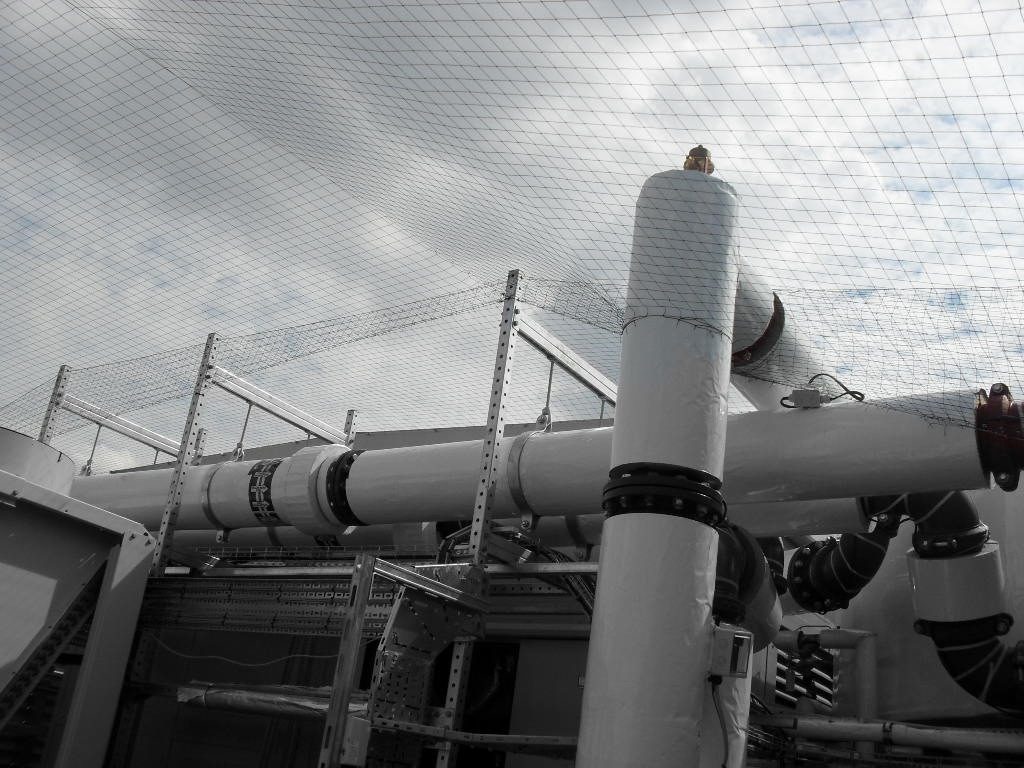 Bird Control in Atherton, Greater Manchester